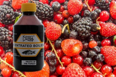 Fruits of the Forest